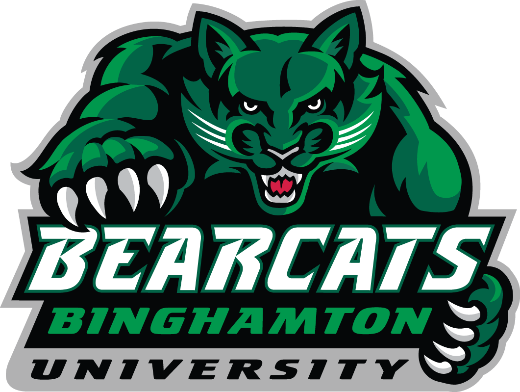 Binghamton Bearcats 2001-Pres Alternate Logo v2 DIY iron on transfer (heat transfer)